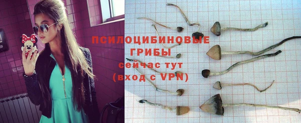 дмт Алексин